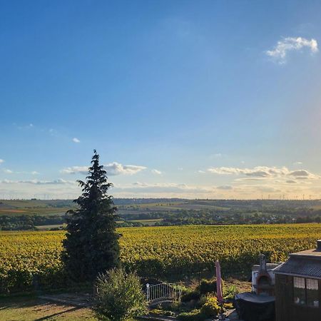 Monteurwohnung Ha-Wei -90 M2 Hangen-Weisheim Buitenkant foto